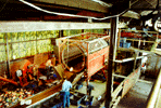 Sorting Drum